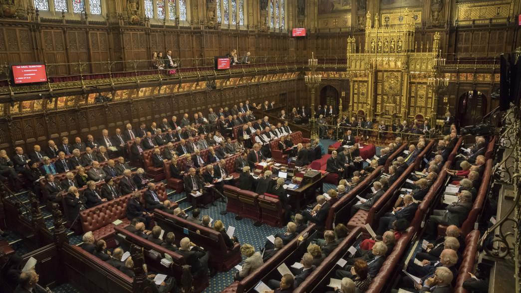 Ministers in the Lords – their role and scrutiny